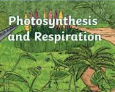 Photosynthesis and Respiration